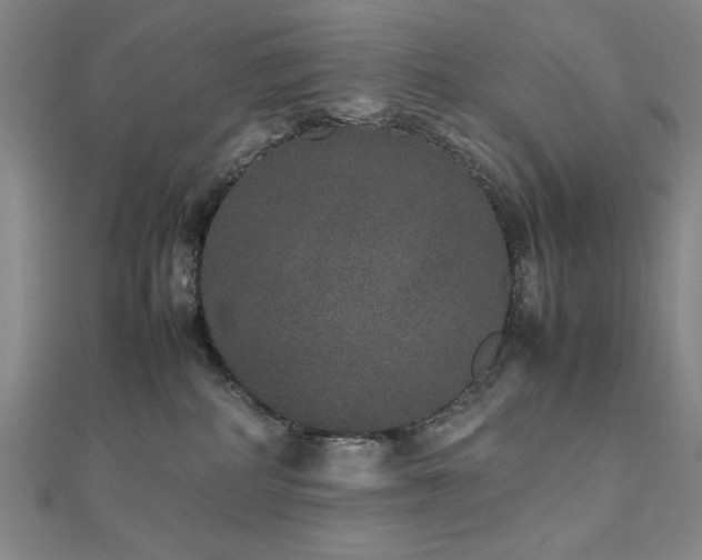 X0000112510234200908171340