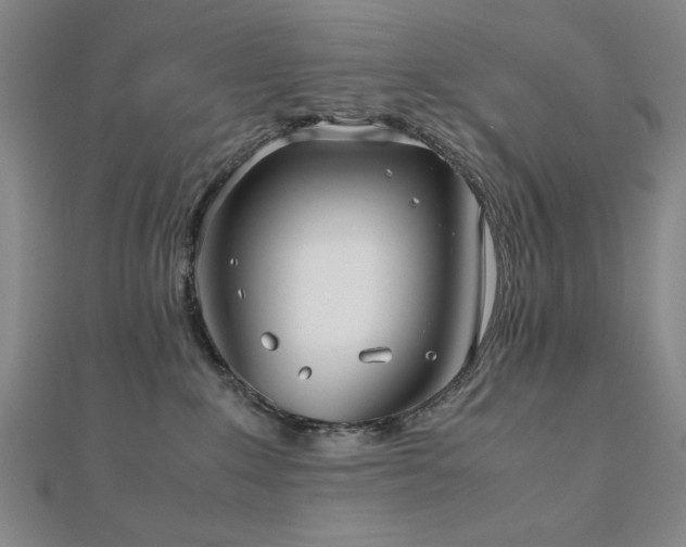 X0000112510235200908171340