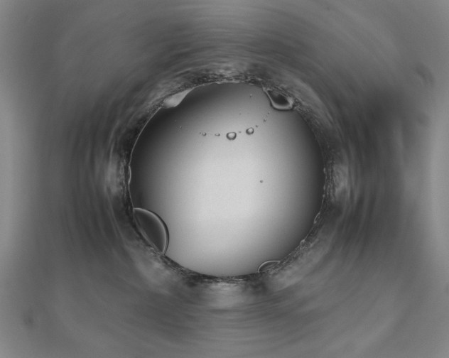 X0000112510236200908171340