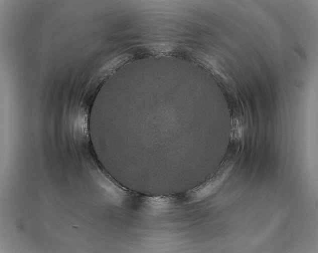 X0000112510238200908171340