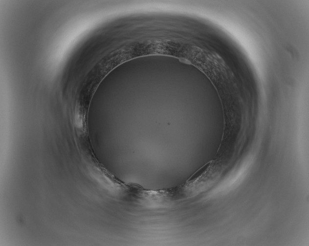 X0000112510239200908171340