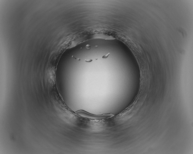 X0000112510240200908171340