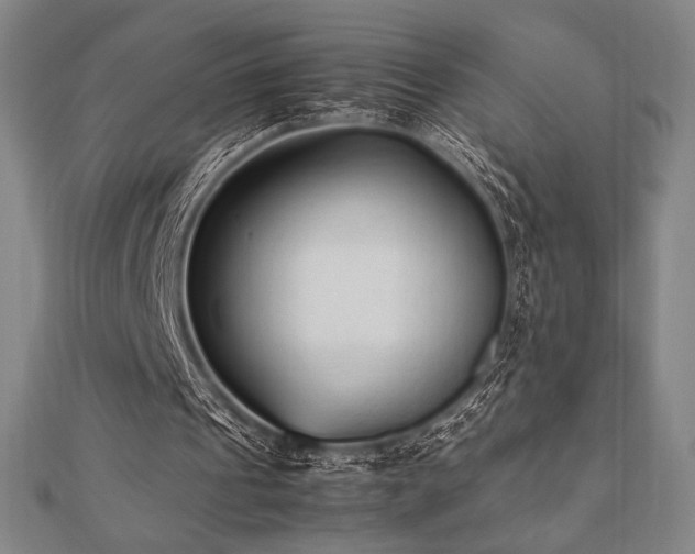 X0000112510241200908171339