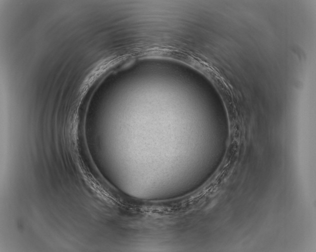 X0000112510242200908171339