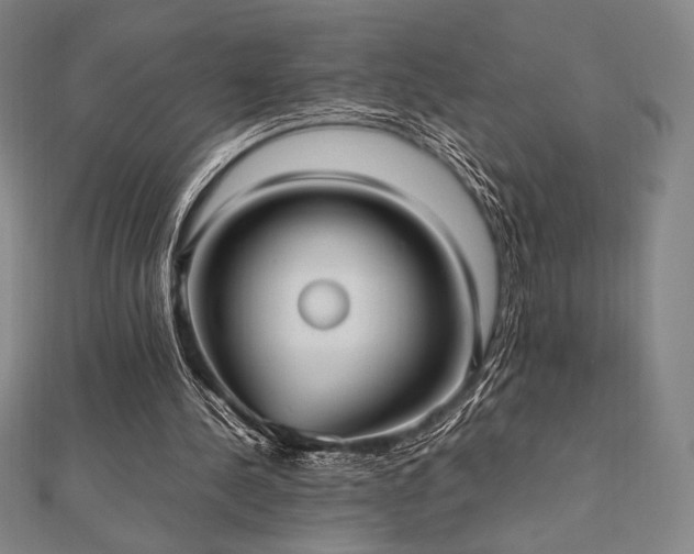 X0000112510244200908171339