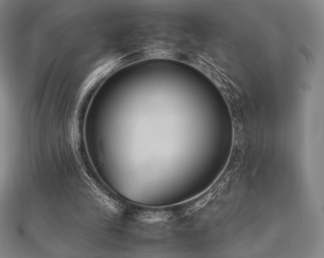 X0000112510245200908171339