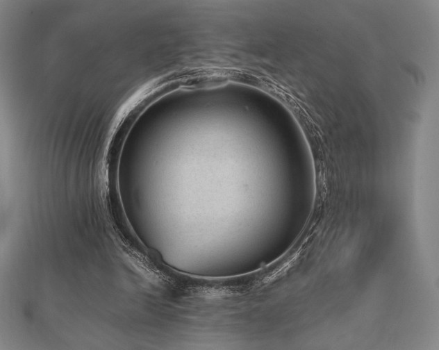 X0000112510246200908171339