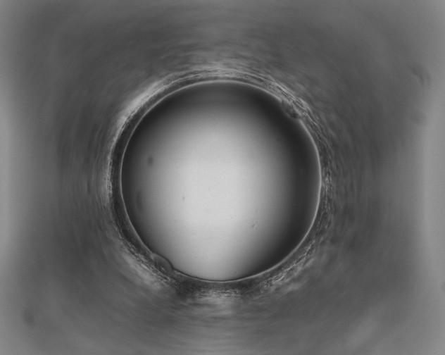 X0000112510248200908171339