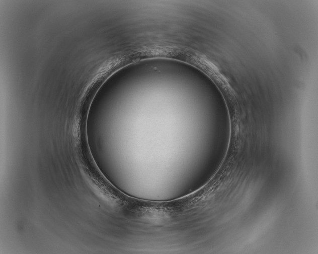 X0000112510250200908171339