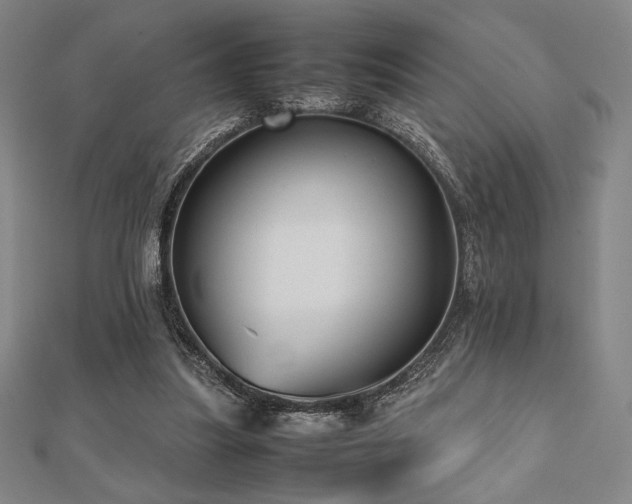 X0000112510251200908171339