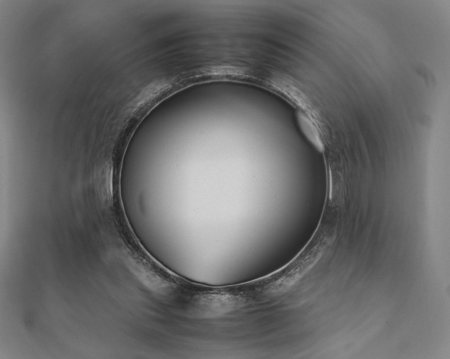 X0000112510253200908171339