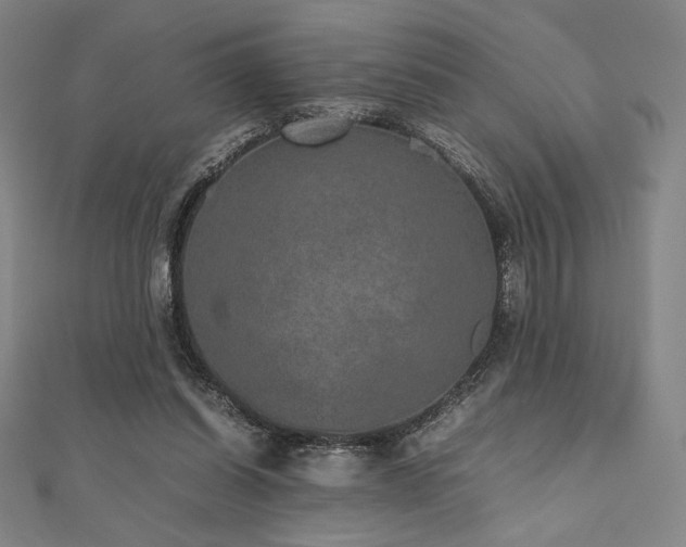 X0000112510254200908171339