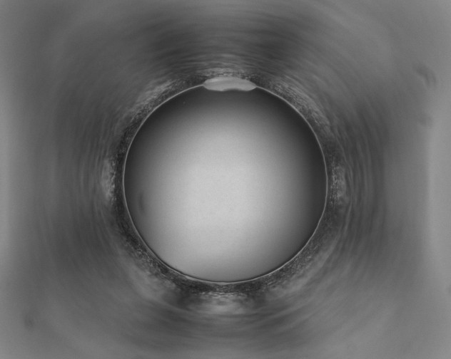 X0000112510255200908171339