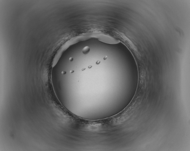 X0000112510257200908171339