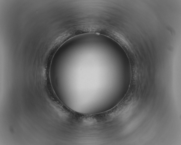 X0000112510258200908171340