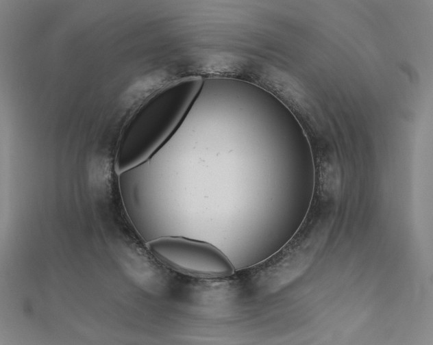 X0000112510260200908171340