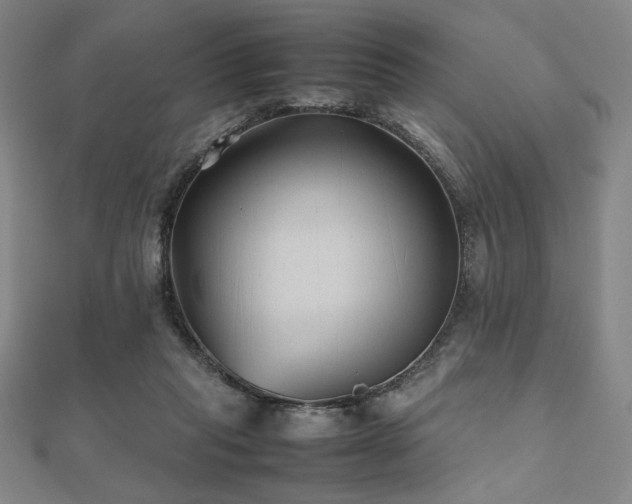 X0000112510261200908171340