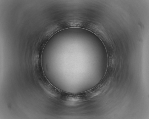 X0000112510263200908171340