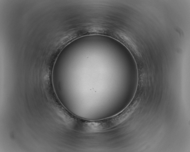 X0000112510265200908171340