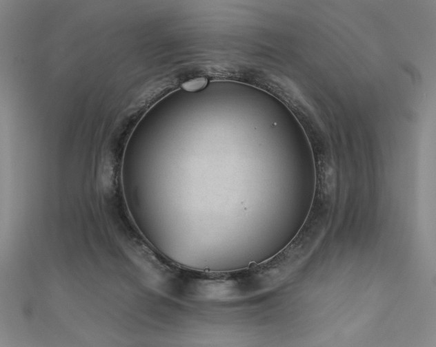 X0000112510266200908171340