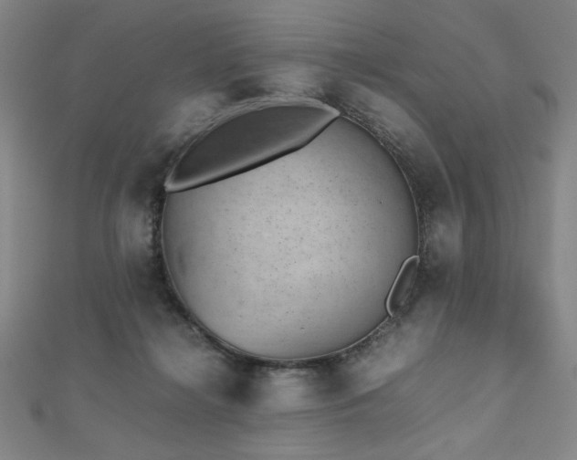 X0000112510268200908171340