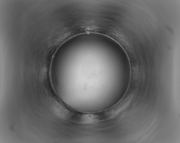 X0000112510269200908171340