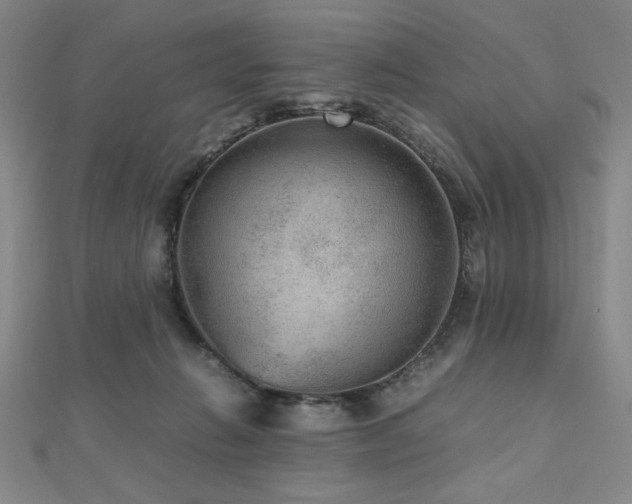 X0000112510270200908171340