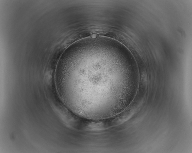 X0000112510271200908171340