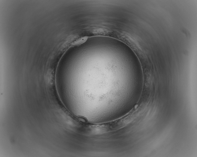 X0000112510273200908171340