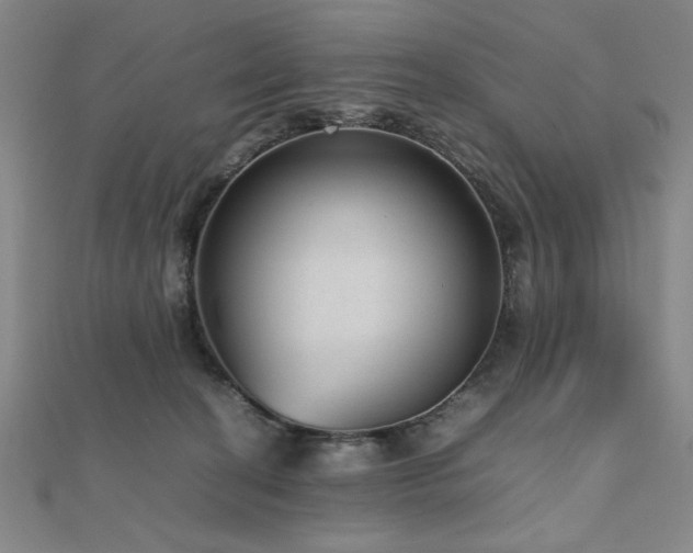 X0000112510274200908171340