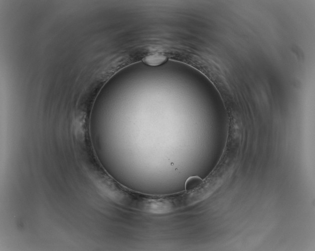 X0000112510275200908171340