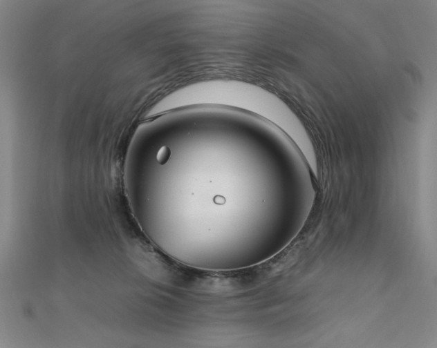 X0000112510276200908171340