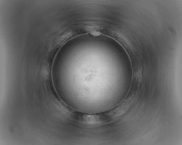 X0000112510277200908171340