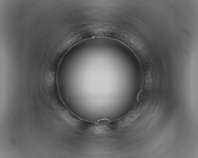 X0000112510278200908171340