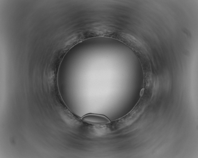 X0000112510279200908171340