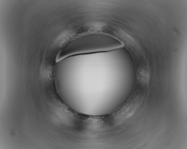 X0000112510280200908171340