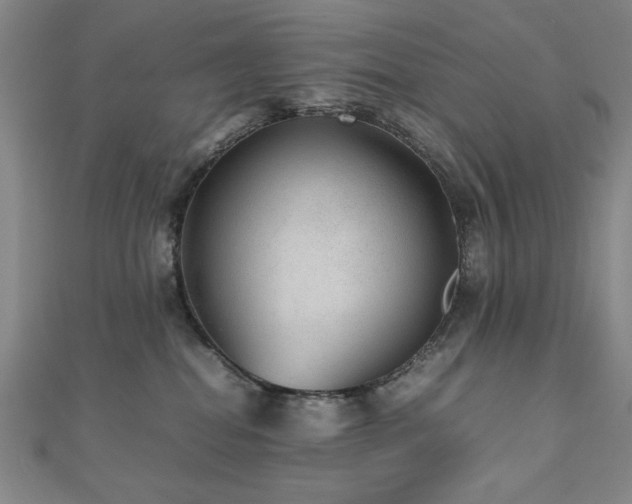 X0000112510282200908171340