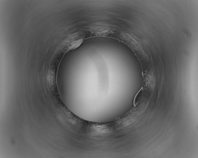 X0000112510283200908171340