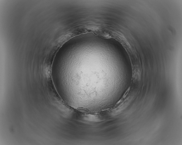 X0000112510285200908171340