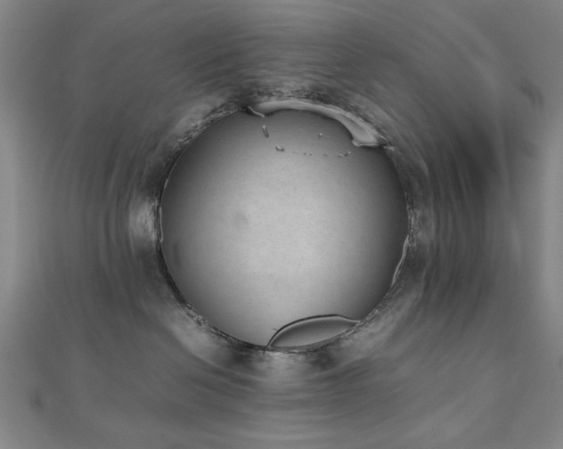 X0000112510286200908171340