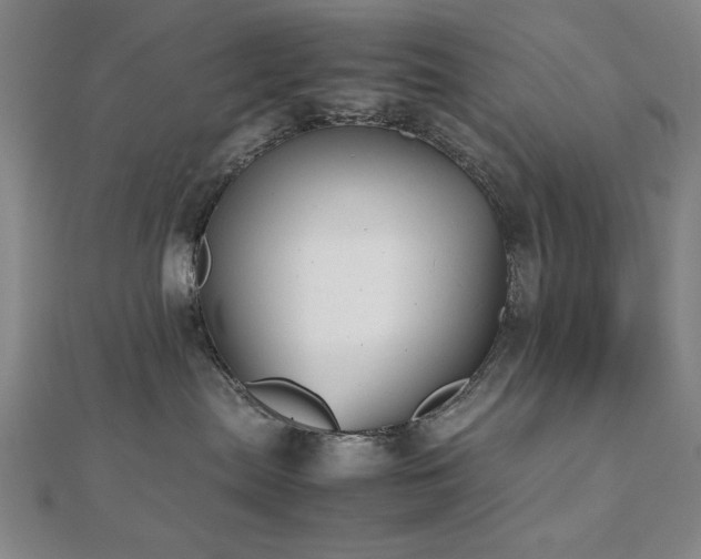 X0000112510287200908171340