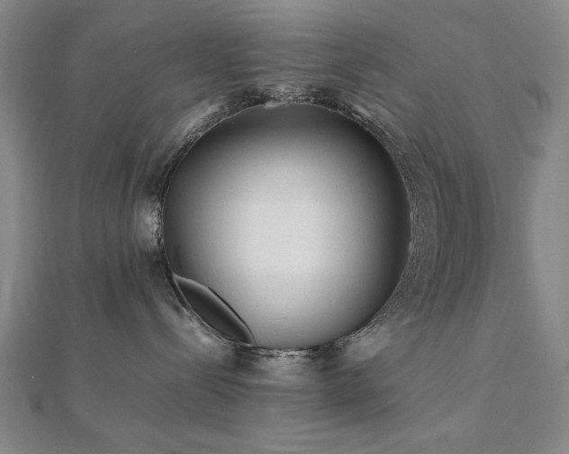 X0000112510288200908171340