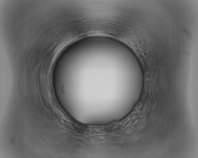 X0000112510289200908171339