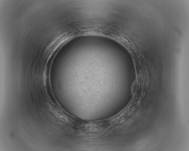 X0000112510290200908171339