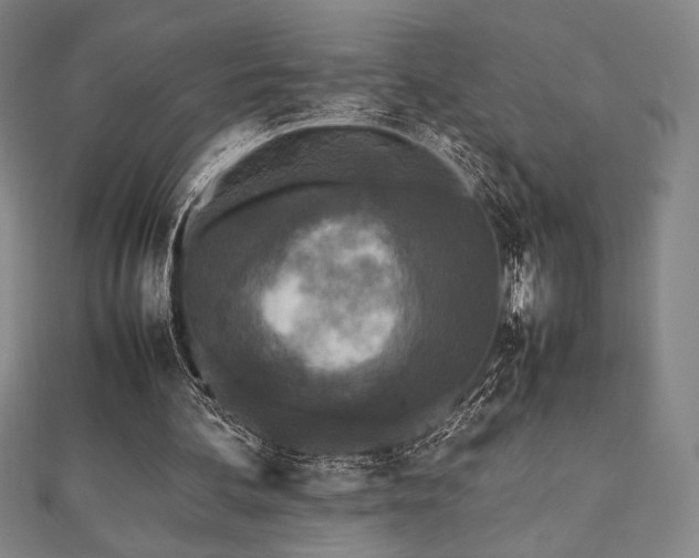 X0000112510292200908171339