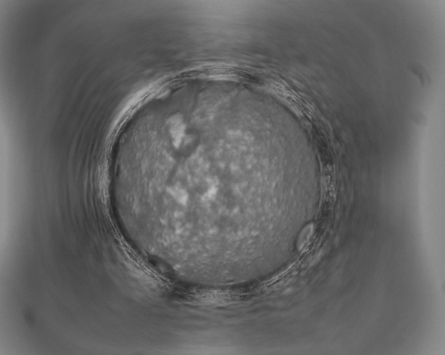 X0000112510293200908171339