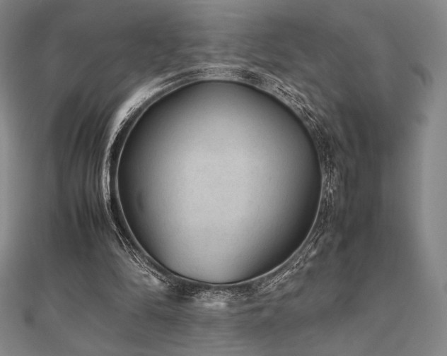 X0000112510294200908171339