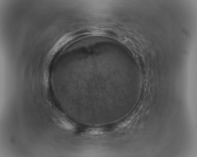 X0000112510295200908171339