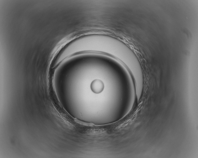 X0000112510296200908171339