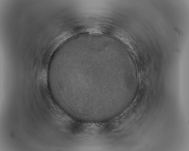 X0000112510297200908171339